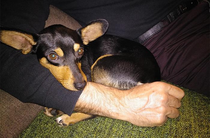 Referència FAADA (05/06/2019)